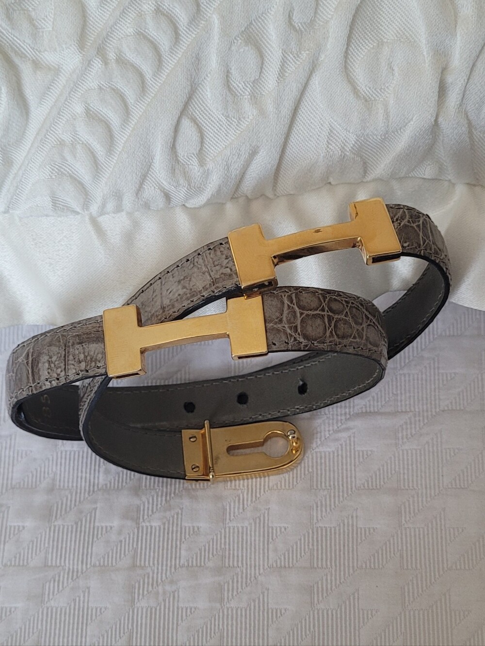 Whale Croc Embossed Belt - Picture 4 of 16